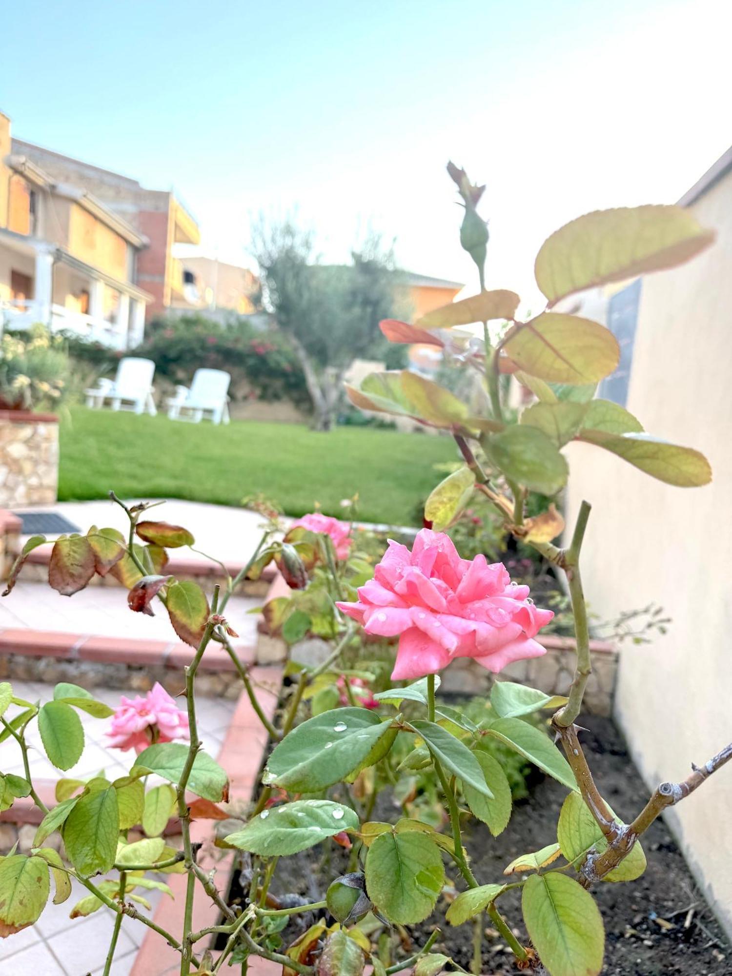 Rosa'S House - Zona Ospedaliera Leilighet Cagliari Eksteriør bilde
