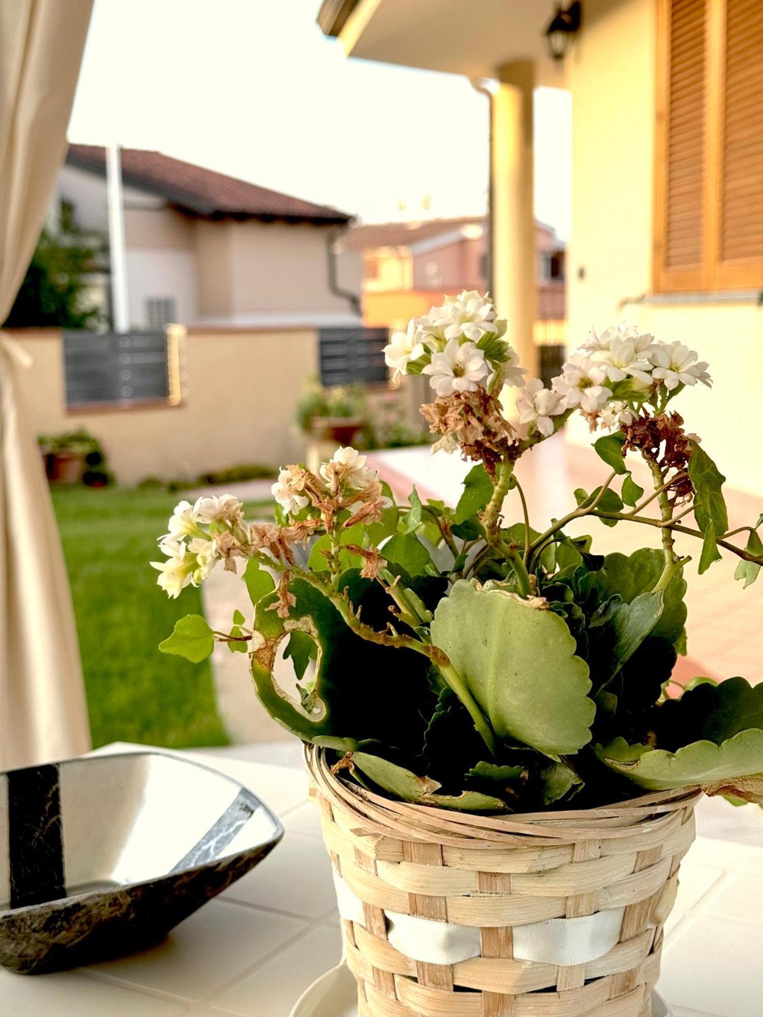 Rosa'S House - Zona Ospedaliera Leilighet Cagliari Eksteriør bilde